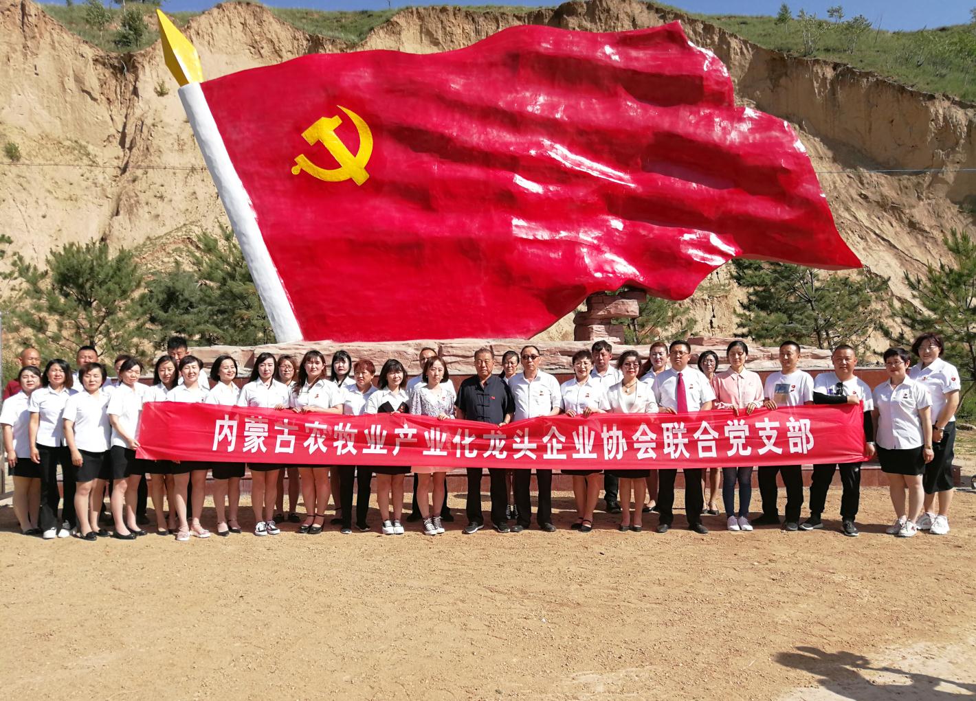 內(nèi)蒙古農(nóng)牧業(yè)產(chǎn)業(yè)化龍頭企業(yè)協(xié)會(huì)走進(jìn)石人灣村開(kāi)展“辦實(shí)事、解難題，送溫暖，傳黨恩”公益活動(dòng)